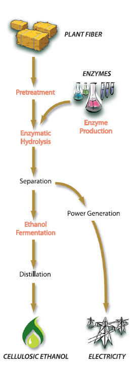 cellulosic ethanol